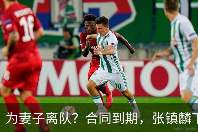为妻子离队？合同到期，张镇麟下家4选1，广东2队有机会